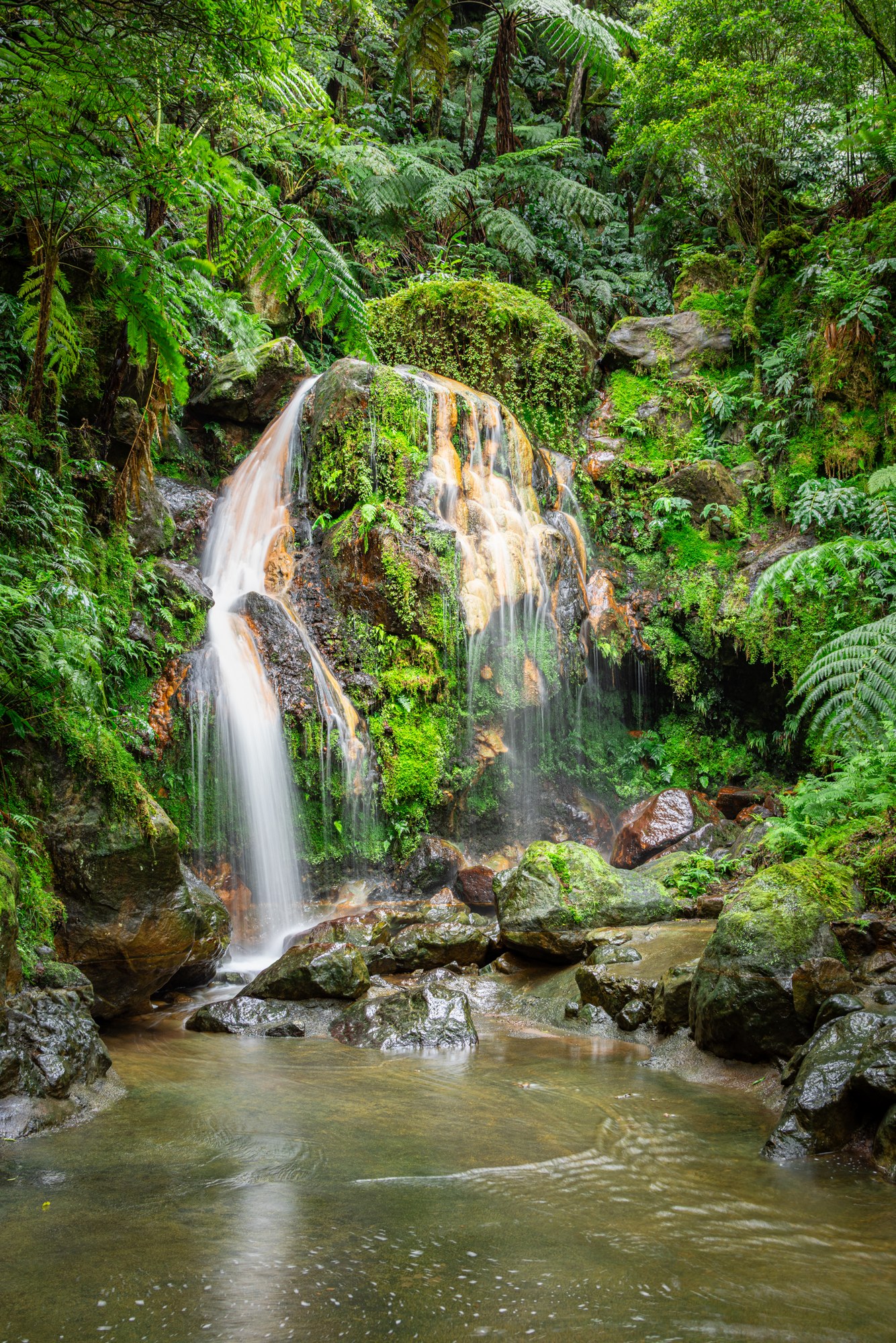 Waterval in het varengroen, Azoren
