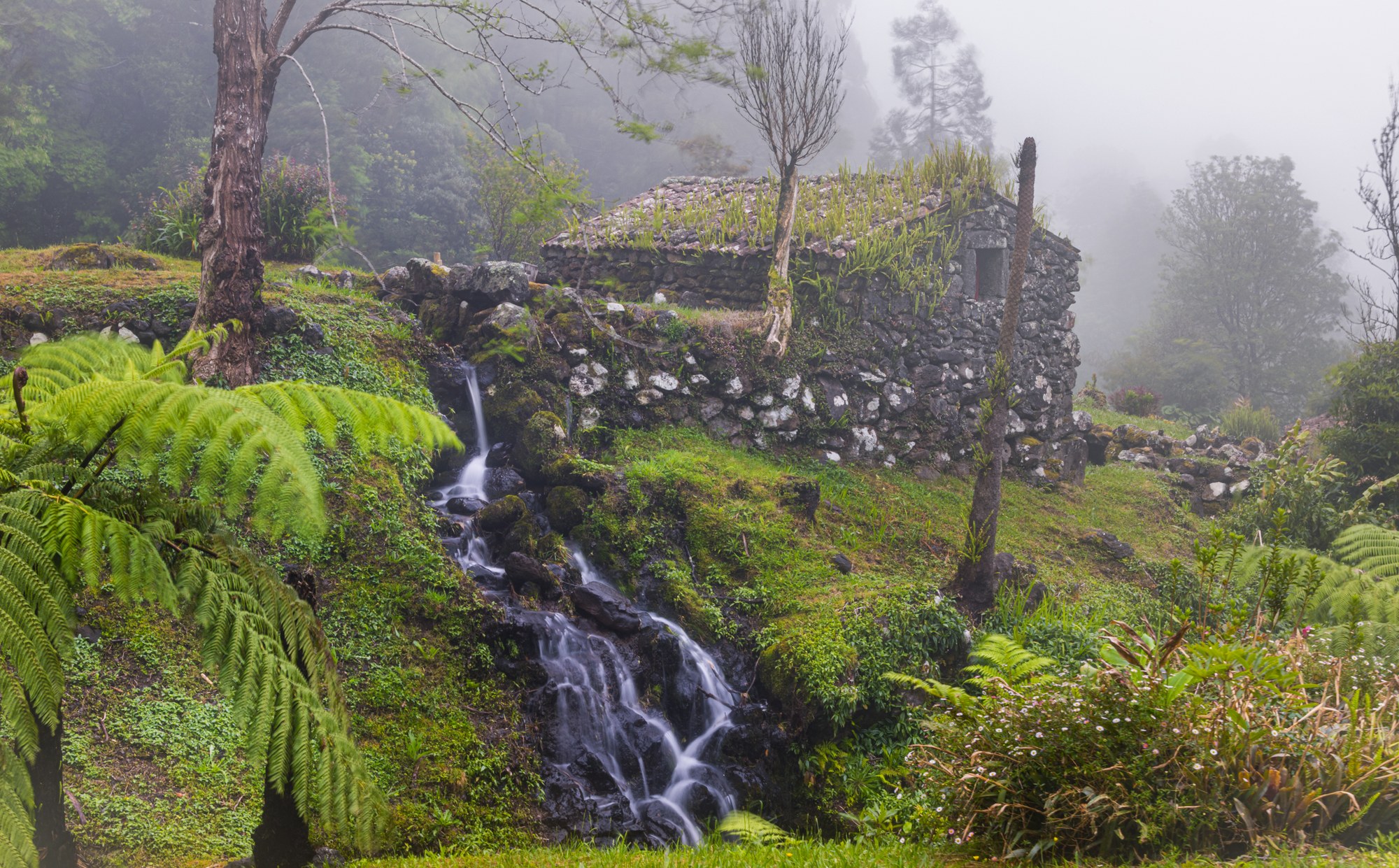 Stenen ruïne met een kleine waterval in mistig groen, Azoren